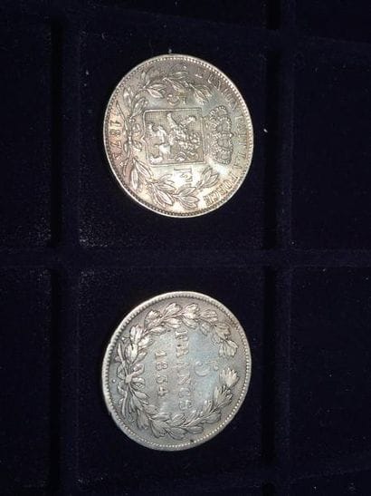 [ Pièces en argent ]

Ensemble de deux pièces...