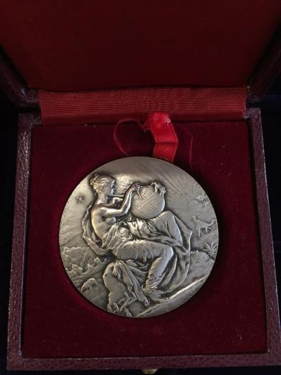 [ Géographie ] 



Médaille en bronze argenté....