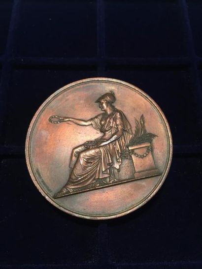 [ Louis XVIII ] [ Restauration ]

Médaille...