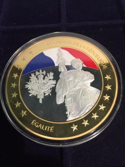 Médaille les piliers de la République en...