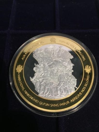 Médaille les piliers de la République en...