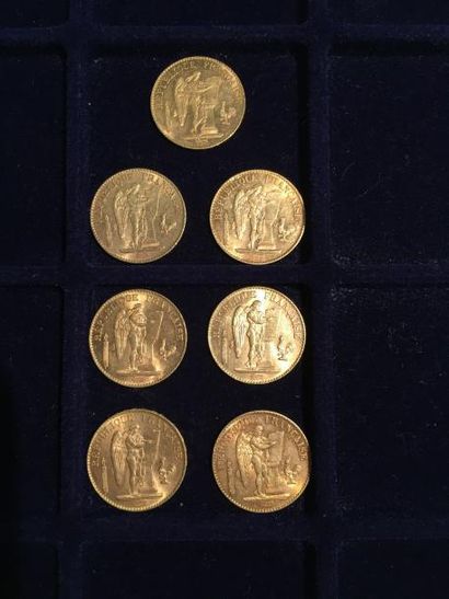 [ Pièce en or ]

7 pièces de 20 francs 