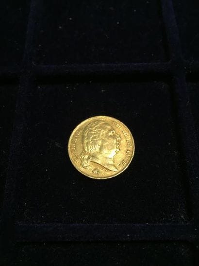 [ Pièce en or ] [ Louis XVIII ]

1 pièce...