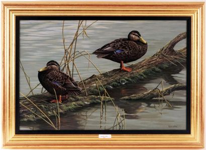 GIRARD, Pierre (1967 - )
« Tranquilité (canards...
