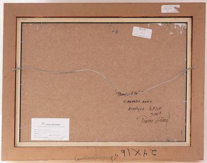 GIRARD, Pierre (1967 - )
« Tranquilité (canards...