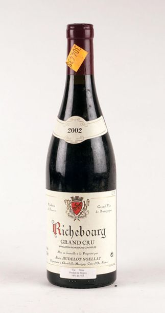 Richebourg Grand Cru 2002, Alain Hudelot-Noellat...
