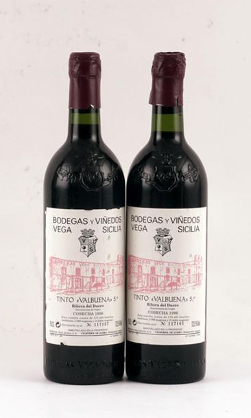 Tinto Valbuena No 5 1996 - 2 bouteilles (Château...