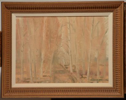 COSGROVE, Stanley Morel (1911-2002)
Chemin...