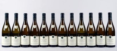Ladoix 1er Cru les Gréchons 2016, 2017 2018,...
