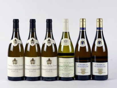 Sélection de Blancs de Bourgogne - 6 bou...