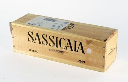 Sassicaia 2009 - 1 magnum