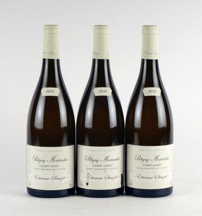 Puligny-Montrachet 1er Cru Champs-Canet 2010

Puligny-Montrachet...