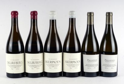 The Sadie Family Die Ouwingerdreeks Skurfberg...