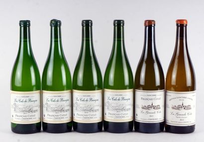 Les Culs de Beaujeu 2014

Sancerre Appellation...