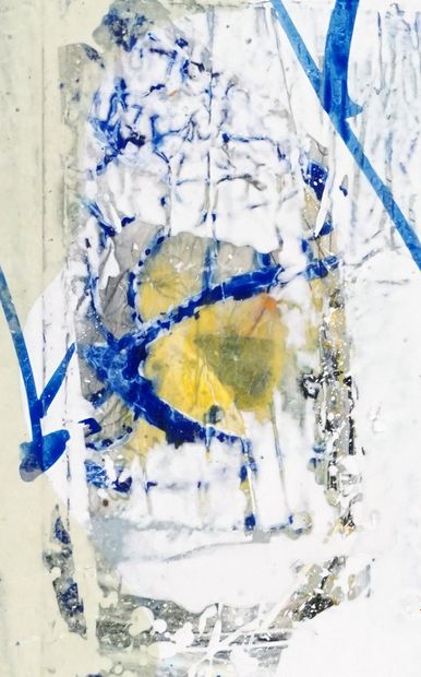 BEAUCAGE, Michel (1958-)


'Végé-vitraux...
