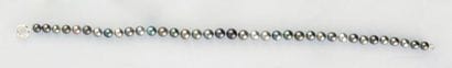 Collier de 37 perles de Tahiti 12-14mm. Longueur:...