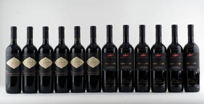 Villa Tonino Baglio Curatolo Syrah 2003

Nero...