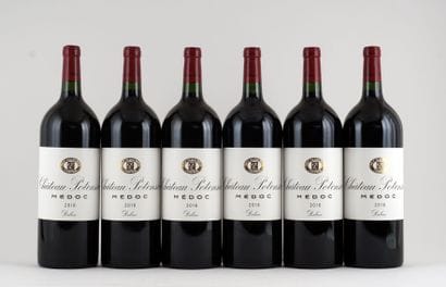 Château Pontensac 2016

Médoc Appellation...