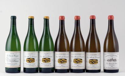 Les Monts Damnés 2017

Sancerre Appellation...