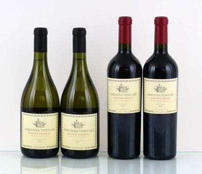 Catena Zapata Adrianna Vineyard Fortuna Terrae...