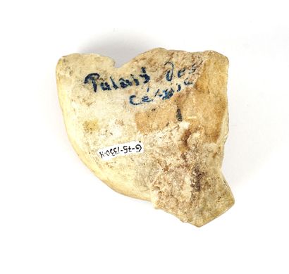 ARCHÉOLOGIE / ARCHEOLOGY

Lot of eight miscellaneous...
