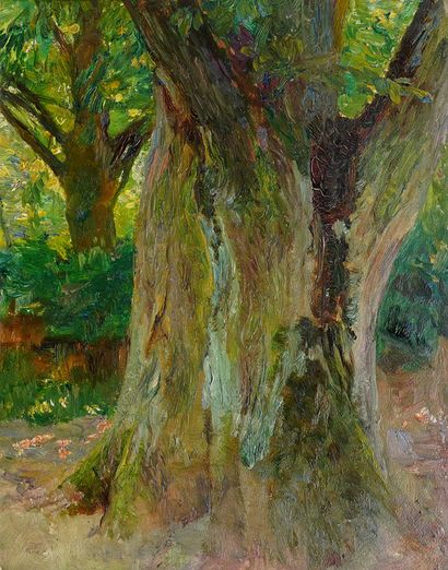 RICHIR, Herman Jean Joseph (1866-1942)

Woods

Set...