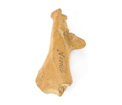 PÉRIODE ANTIQUE / ANTIQUITY PERIOD

Lot of...