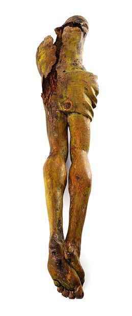 
XVIe siècle / 16th century



Christ in...