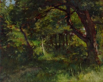RICHIR, Herman Jean Joseph (1866-1942)

Woods

Set...