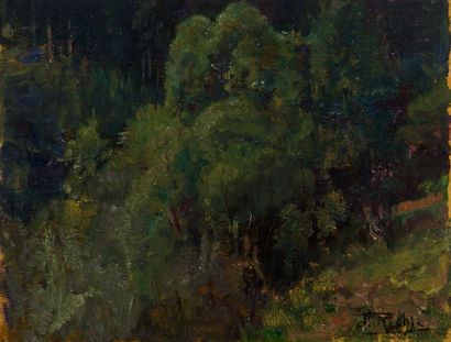 RICHIR, Herman Jean Joseph (1866-1942)

Woods

Set...