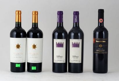 Clos de la Siete 2005, Podere Sapaio Volpolo...