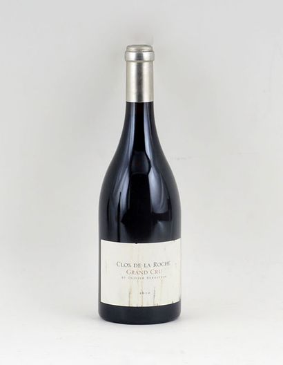 Clos de la Roche Grand Cru 2010

Clos de...