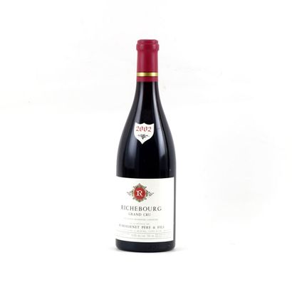 Richebourg Grand Cru 2002, Remoissenet -...