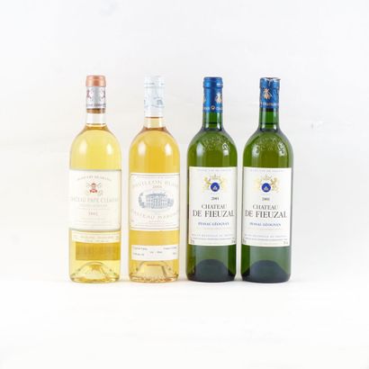 Sélection de Vins Blancs de Bordeaux - 4...