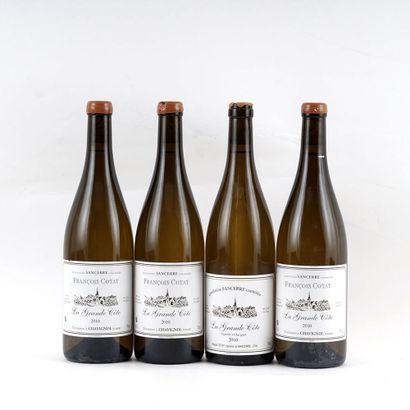 La Grande Côte 2010, François Cotat (3) Pascal...