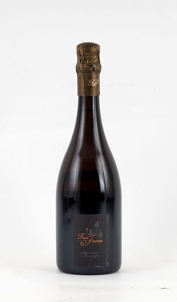 Roses de Jeanne Rosé de Saignée 2009, Cédric...