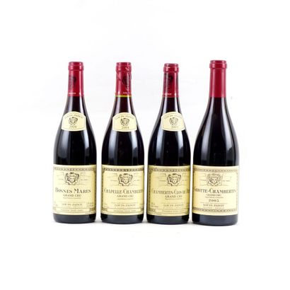 Sélection de Bourgognes par Louis Jadot -...