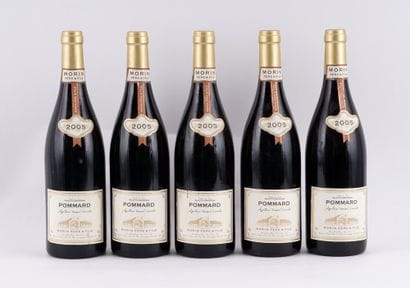 Pommard 2005, Morin Père Fils - 5 boutei...