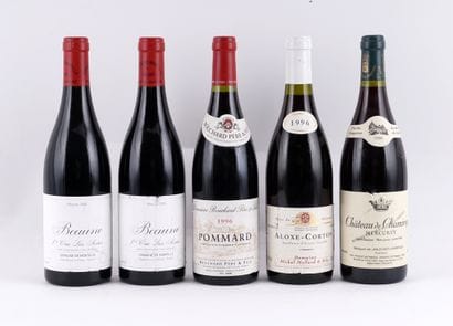 Sélection de Vins de Bourgogne - 5 boute...