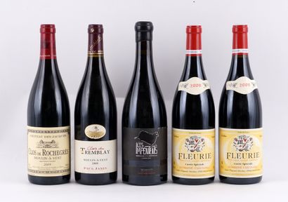 Sélection de Beaujolais - 5 bouteilles