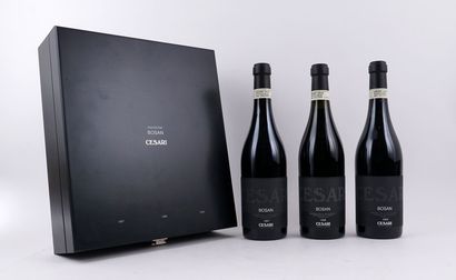 Gerardo Cesari Bosan 1997
Amarone della Valpolicella...