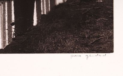 GAUDARD, Pierre (1927-)
Forêt au crépuscule
Impression...