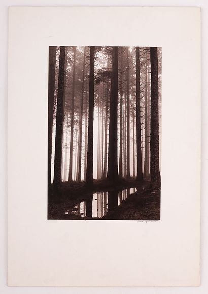 GAUDARD, Pierre (1927-)
Forêt au crépuscule
Impression...