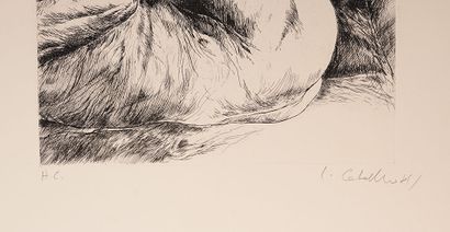 CABALLERO, Luis (1943-1995)
Sans titre
Eau-forte
Signée...