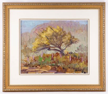 AYOTTE, Léo (1909-1976)
Arbre en automne
Huile...