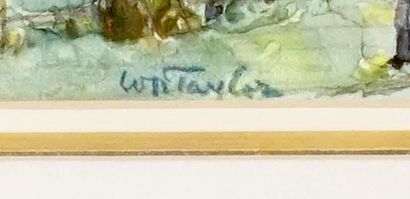 TAYLOR, William Hughes (1861 - 1960)
Countryside...