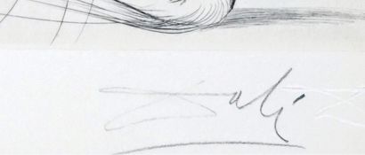DALI, Salvador (1904-1989) 
Untitled
From...