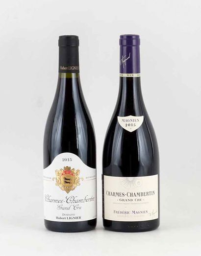Charmes-Chambertin Grand Cru 2015
Charmes-Chambertin...