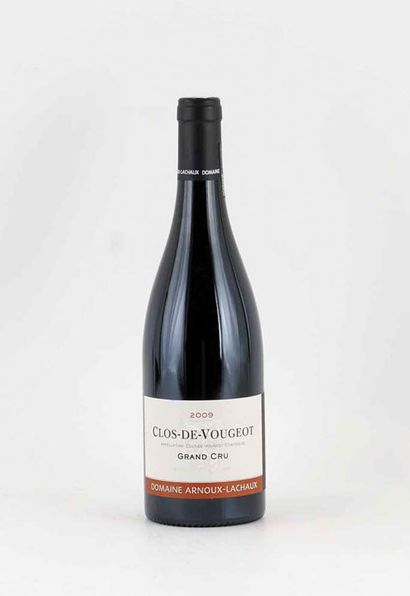 Clos Vougeot Grand Cru 2009
Clos Vougeot...