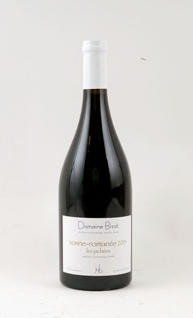 Vosne-Romanée Les Jachées 2013, Bizot - 1...